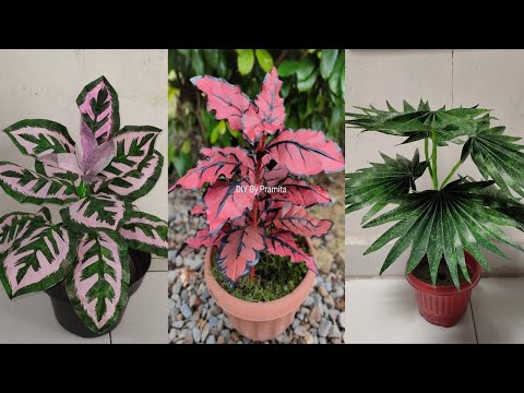 Tutorial Tanaman Palem, Calathea, Miana dari Plastik Kresek | How to make flower from plastic bag