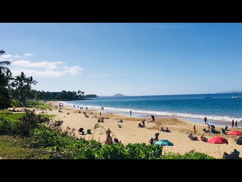 &#127796;&#127355;&#127352;&#127365;&#127348;&#127796;Hawaii Beach Sound&#128266;from Kihei Maui Island&#129343;Kamaole Beach Park&#129651;&#128089;Webcam&#127774;&#127940;&#127996;