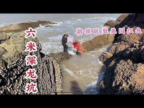 【阿向趕海】無人島兩人高的6公尺深坑，擒獲巨型美國紅魚居然遇到鯊魚，大賣750