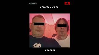 Steiner und Amon - Abgrund (Eve Of Destruction)