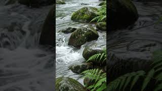 Rain Sounds For Deep Sleep Fast🌧️ Instant Stress relief