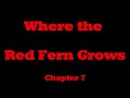 Exploring Chapter 7 of Where the Red Fern Grows