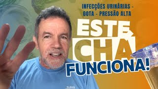 CHÁ DE JAVA   INFECÇÕES URINÁRIAS   GOTA   PRESSÃO ALTA  ESTE CHA FUNCIONA