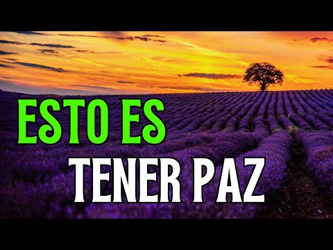 Esto es Tener Paz Después Todo lo Demás | Frases, Reflexiones, Amor Propio #autoestima #pazinterior