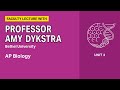 Photosynthesis and Ecosystem Dynamics