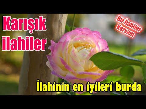 İlahi Sevdası 💕 Karışık Güzel İlahiler 🌹Yeni Çıkan Türkçe İlahiler 💕 İlahi Dinle