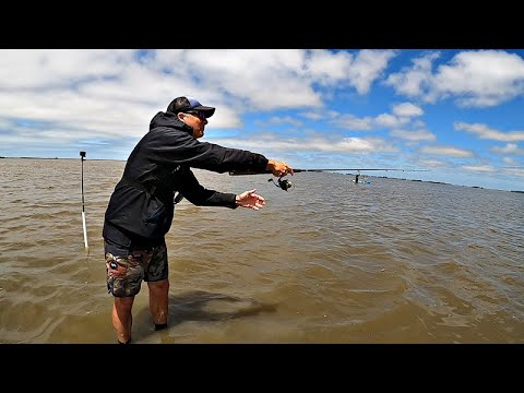 BUENA PESCA CON EL AGUA AL TOBILLO LANZANDO A SOLO 10 METROS DE MI POSICIÓN