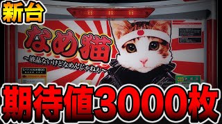 新台【なめ猫】期待値3000枚の真実がヤバ過ぎる（パチスロ なめ猫～液晶ないけどなめんじゃねぇ～）[パチンコ・パチスロ]