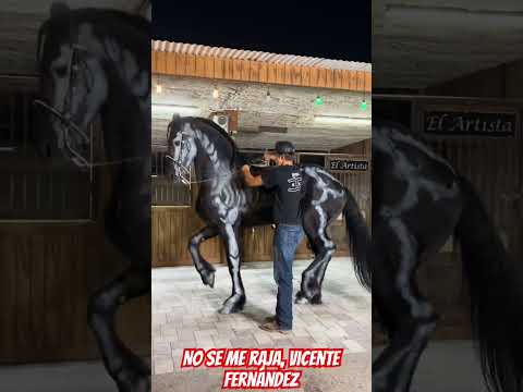 No se me raja, Vicente Fernández