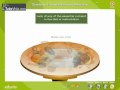 Understanding Malnutrition and Its Effects