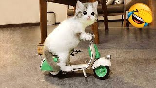 Animals will break your heart 🐱🐶 Cute and funny animals 2024 😍 Pt. 3
