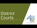 Exploring the Role of District Courts in the U.S. Judicial System