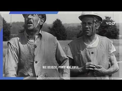 "Ballada o ścinaniu drzewa"