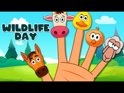 Animals Finger Family | World Wildlife Day | Om Nom Finger Family Songs Collection