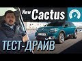 Citroen C4 Cactus Shine