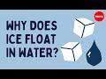 The Science Behind Ice Floating in Water