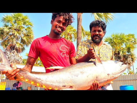 சூறை மீன் 500 பீஸ் நமக்கு வந்த அடுத்த ஆடர்  சமையளுக்கு அருமையான மீன்
