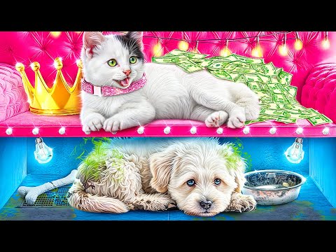 Богатая кошка vs бедная собака! Строим секретные домики для животных!