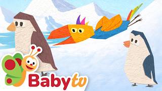 Será que Tucky anda como um pinguim? | Diversão na neve com animais | BabyTV