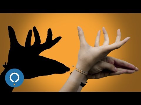 How to make Shadow Animals with your Hands - YouTube