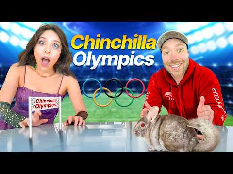 The ChinchillOlympics