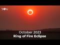 Orionid Meteor Shower and Eclipses