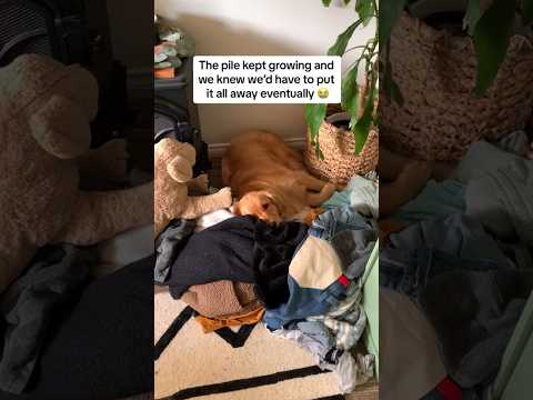 We’ve been making small piles for her to sleep in with the clothes we wore that day ever since 🥺💛