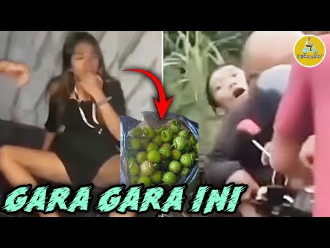 GILA KARENA BUAH INI, HAL MENGHEBOHKAN MINGGU INI