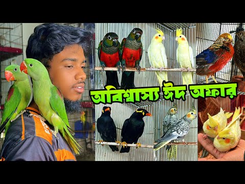 রমজানে পাইকারি দামে পাখি কি নু ন | চন্দনা 4800 | ময়না 5000 | কনুর 5000 | লাভবার্ড 1500 | ককাটেল 1600