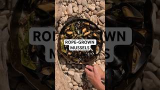 Gill Meller prepares Rope-Grown Mussels over fire