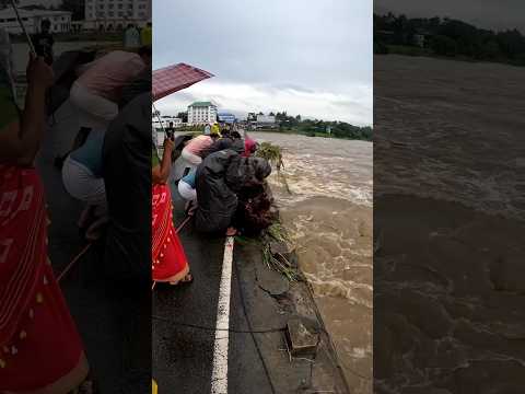 പട്ടാമ്പി പാലം ഇന്ന് കണ്ട കാഴ്ച്ച #ammamadam #vishnumayavinod #flood #vishnumayaswamytemplekerala