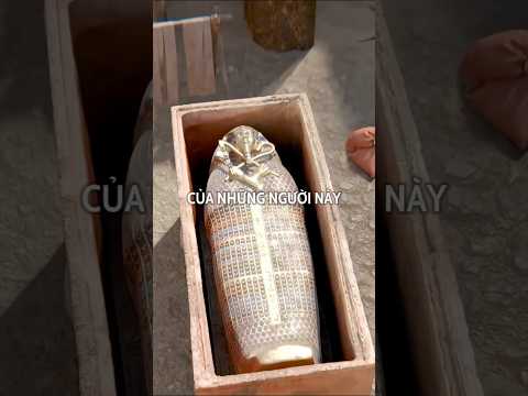 KHI MỘT VỊ VUA PHARAOH QUA ĐỜI#shorts #viral #facts