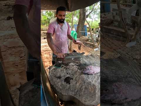 Amazing Village Thilapia Fish Fast Cutting Skill