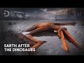 Asteroid Impact Effects and Research