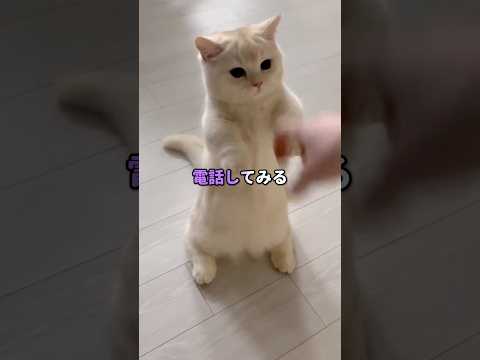 【ジョーク】遠回しなアプローチ