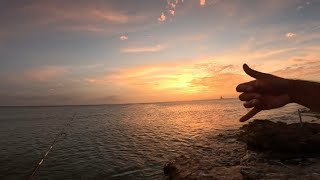 Summer vacation fishing Aruba.( Part 1 of 2)