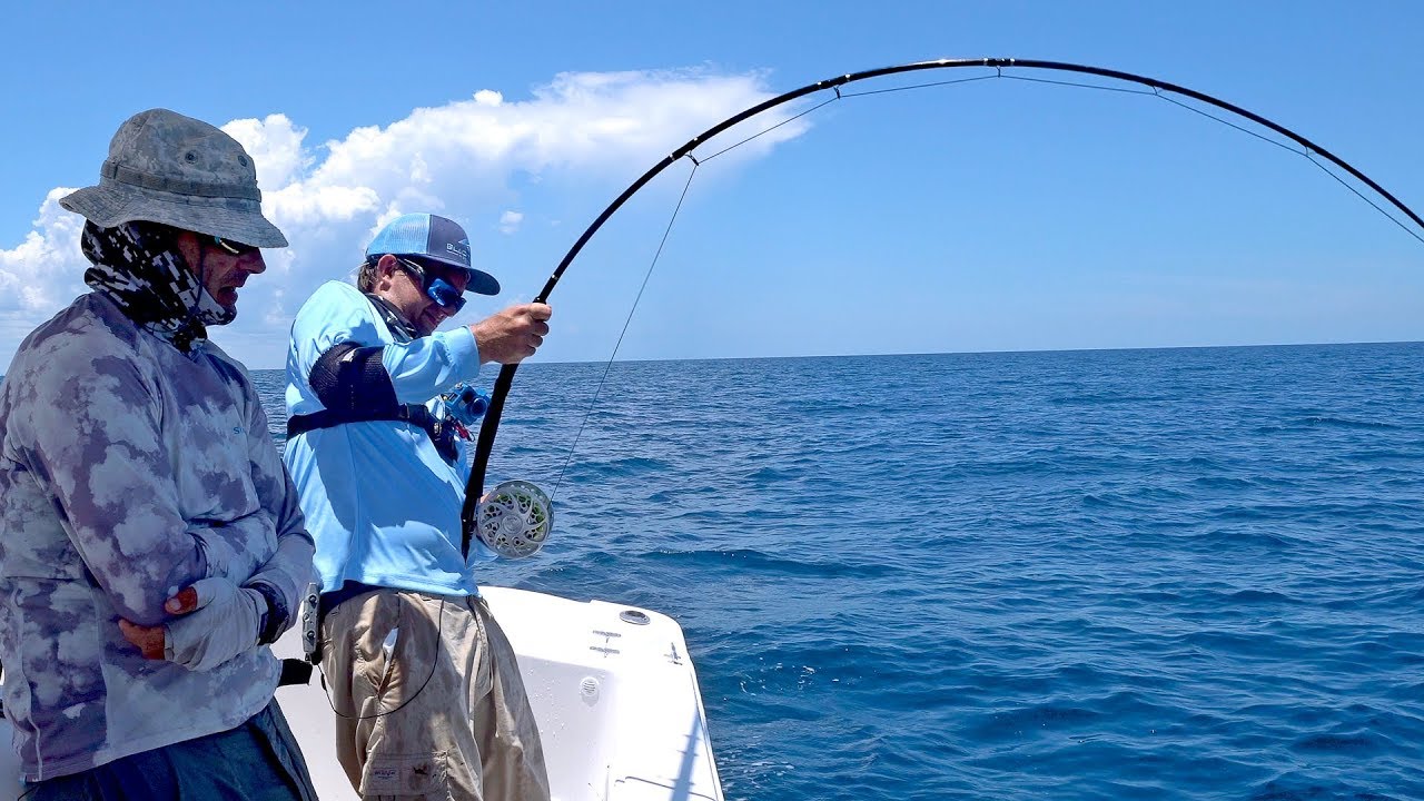 Attempting the Impossible Goliath Grouper on Fly Fishing Tackle