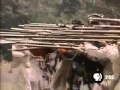 American Revolutionary War Strategies and Outcomes