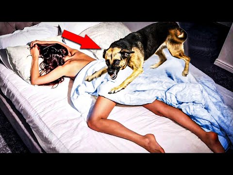 Woman Sleeps with Dog Every Night — What She Discovers Months Later Is Shocking