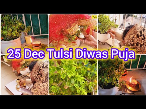 25 दिसंबर को, कैसे करें तुलसी की पूजा? तुलसी दिवस पूजा विधि l Tulsi Pujan Diwas, Vrat Vidhi Upay