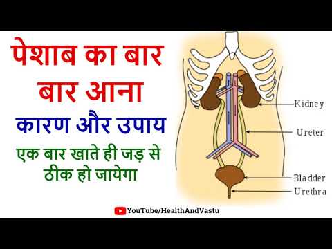 पेशाब का बार बार आना एक बार खाते ही जड़ से ठीक हो जायेगा - Bar Bar peshab ane ka ilaj