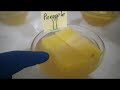 Pineapple Enzymes and Gelatin Experiment