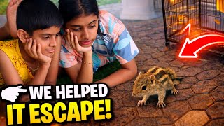 #Tiyakuttyയും #Advikuttenനും വീട്ടിൽ പെട്ടെന്ന് വന്ന  #അണ്ണാൻ🐿️ കുഞ്ഞിനെ രക്ഷപ്പെടുത്തുന്നത് കണ്ടാലോ