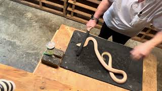 Cobra Venom Extractions Catch & Bite View.