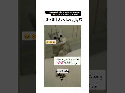 #تقول صاحبة قطة 🐱🐱😽#ابوني_ياك_باطل_ولا_حنا_مانستاهلوش