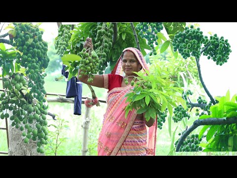 गरमा - गरमा समोसा के साथ आमड़ा की चटनी मिल जाए तो मांग मांग कर खाऐ || Amda Ki Chatni Recipe