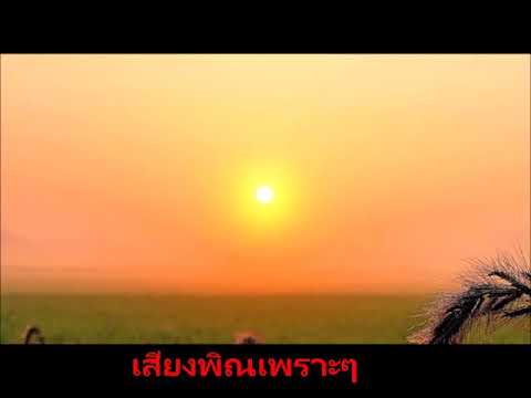 พิณ ฟังเพลิน