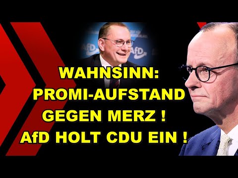PROMI-Aufstand gegen Merz! AfD SIEGT!