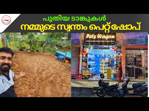 പുതിയ ടാങ്കുകൾ, നമ്മുടെ സ്വന്തം പെറ്റ് ഷോപ്,New Tank Setup,Our Pet Shop|Guppy Wagon