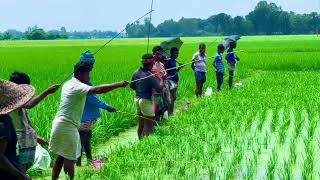 Fish Catching in Village